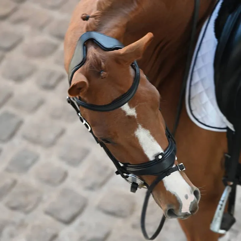 Antares Precision Large Crank Noseband Anatomic Bridle - Black-3