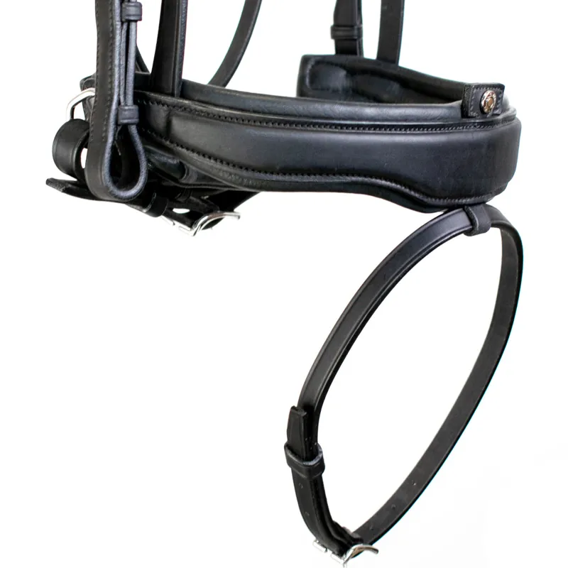Antares Precision Large Crank Noseband Anatomic Bridle - Black-7