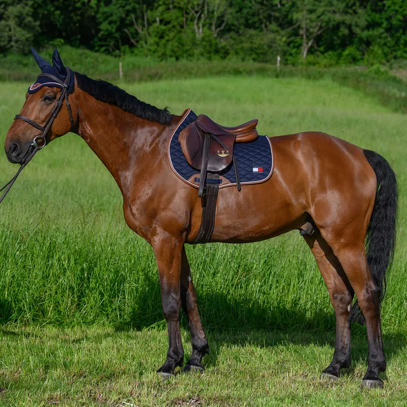 Tommy Hilfiger Princeton Jump Saddlecloth - Desert Sky-4