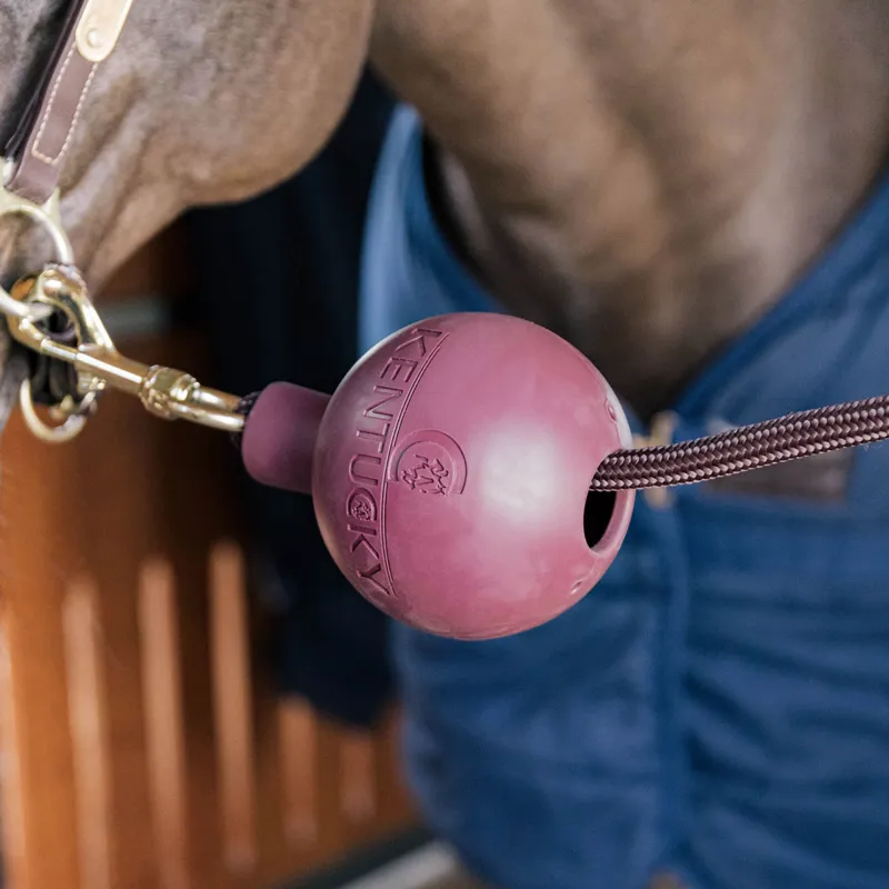 Kentucky Lead Rope Clip Protection Ball - Bordeaux