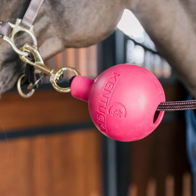Kentucky Lead Rope Clip Protection Ball - Pink
