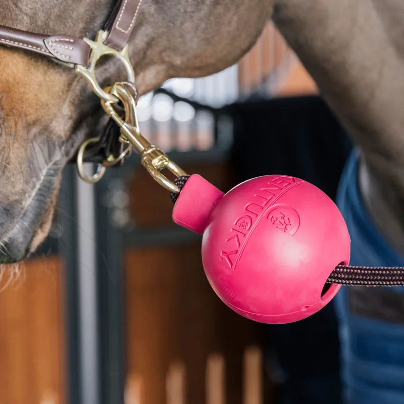 Kentucky Lead Rope Clip Protection Ball - Pink-2