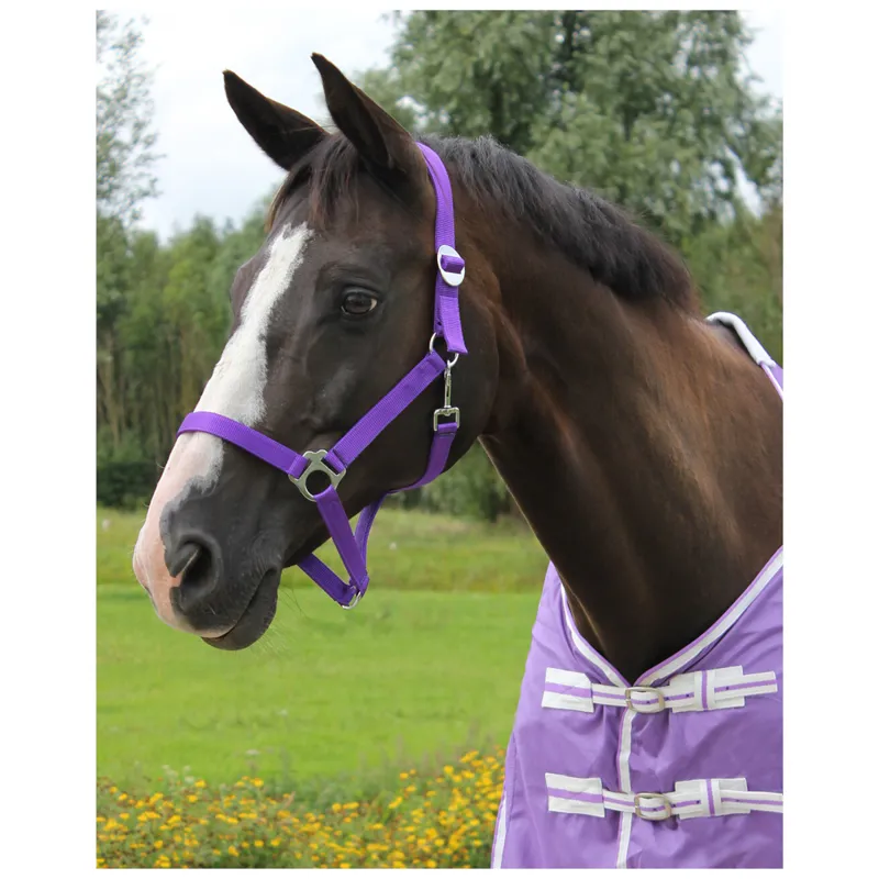 QHP Slide Headcollar - Passion Flower-1