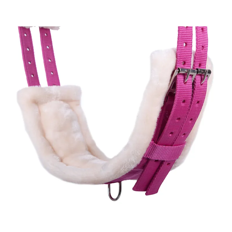 QHP Ontario Lunge Roller - Fuchsia -1