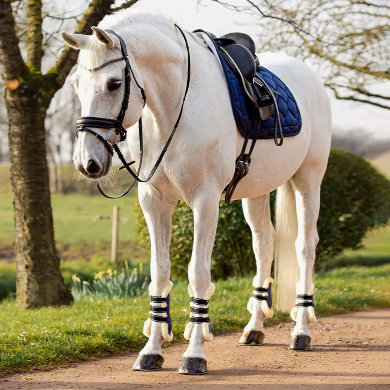 QHP Classy Dressage Saddlecloth - Navy-2