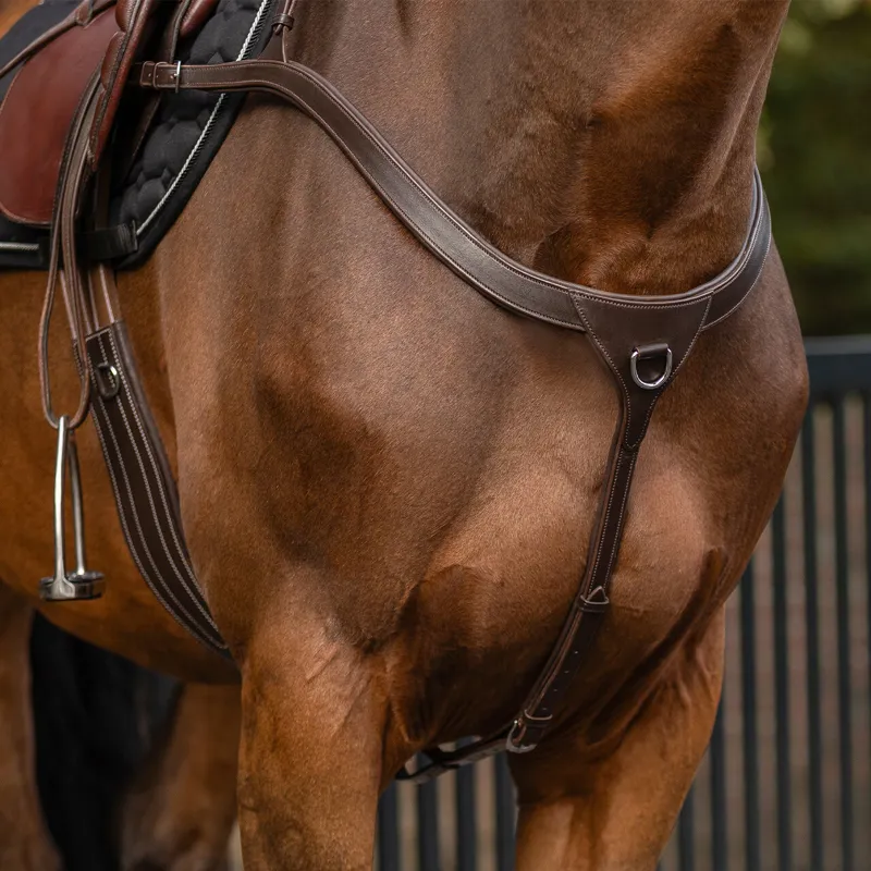 QHP Breastplate with Long Bridge - Brown-6