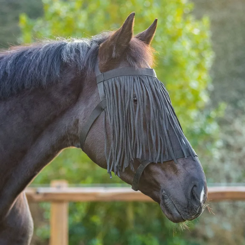 QHP Field Headcollar with Fly Fringe - Black