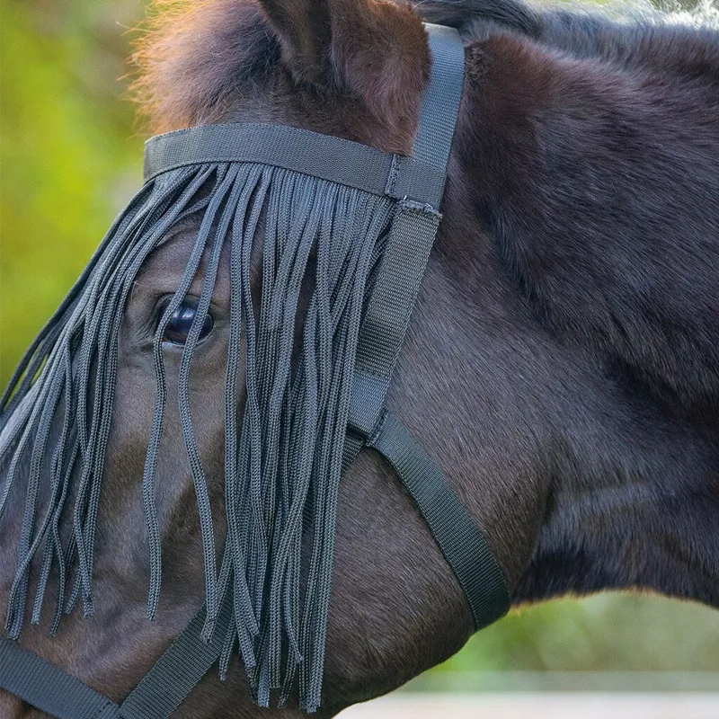 QHP Field Headcollar with Fly Fringe - Black-1