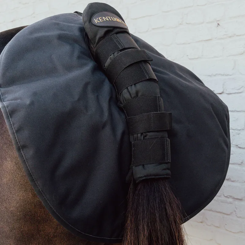 Kentucky Quarter Guard - Black-2