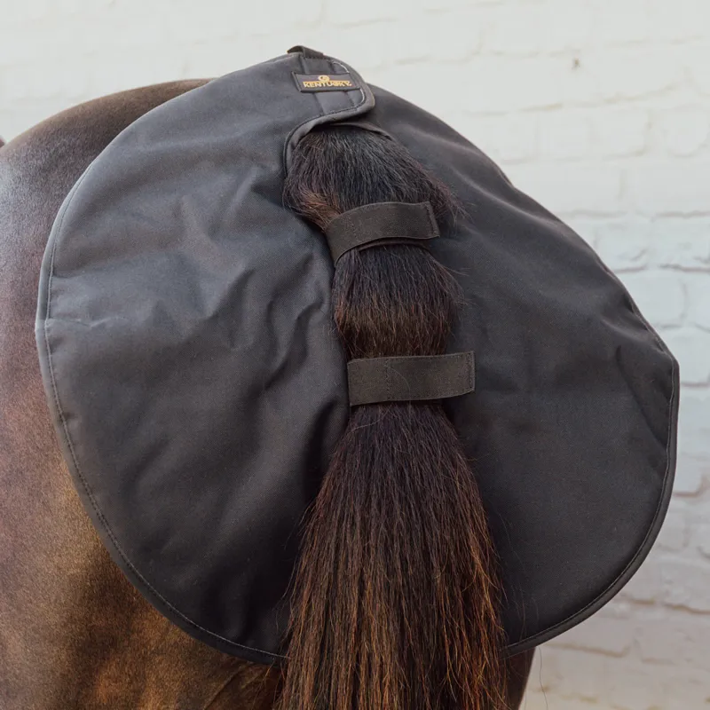 Kentucky Quarter Guard - Black-1