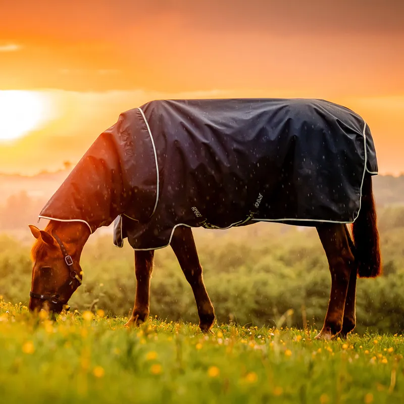 Amigo Ripstop 900D Plus 200g Detachable Neck Turnout Rug - Witney Navy-7