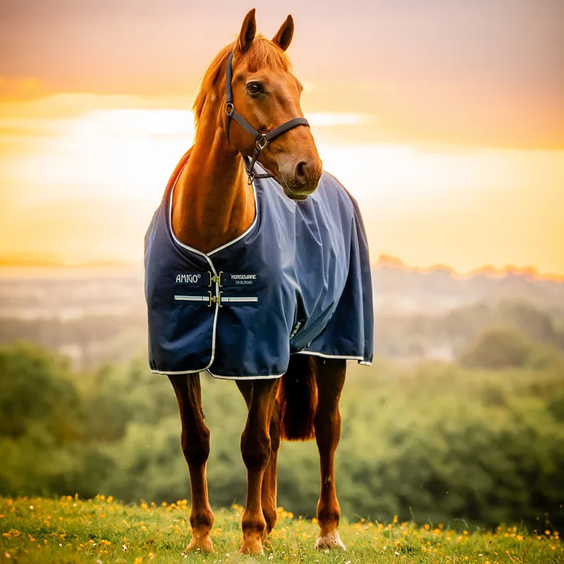 Amigo Ripstop 900D Fleece Lined 50g Turnout Rug - Witney Navy