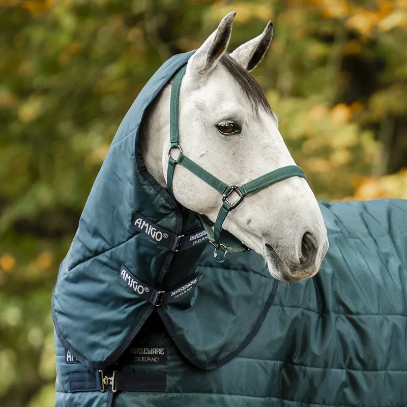 Amigo Ripstop Insulator 100g Stable Hood - Dynasty Green/Navy-1