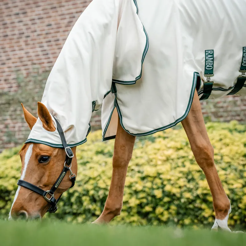 Rambo XL Hoody Sweet Itch Fly Rug - Chalk/Hunter Green/Silver-1