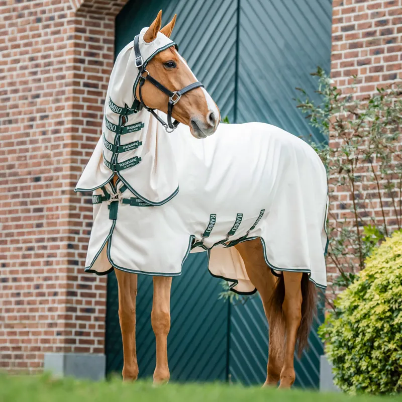 Rambo XL Hoody Sweet Itch Fly Rug - Chalk/Hunter Green/Silver-3