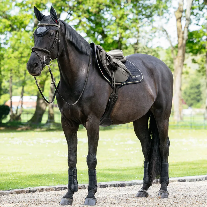 LeMieux x Redpost Suede Close Contact Saddlecloth - Black/Gold-2