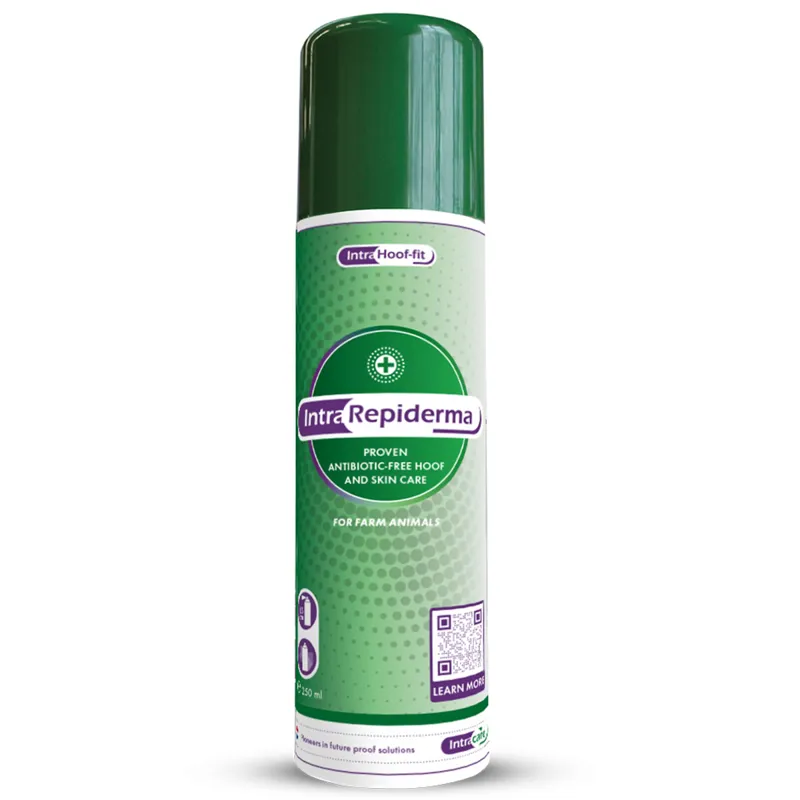 Intracare Repiderma Spray