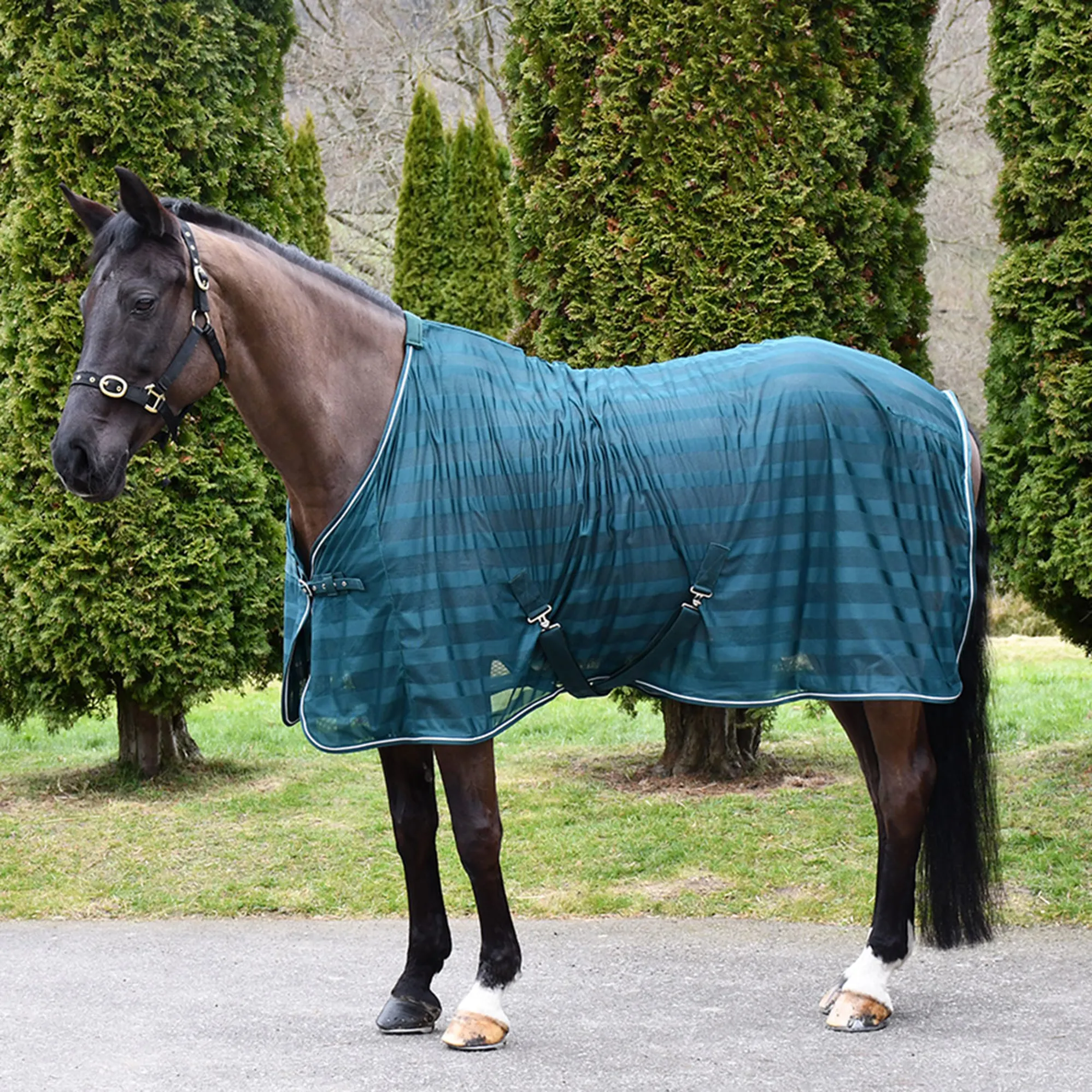 Sweat Rugs Rhinegold Sweat Sheet Cooler Rug - Forest