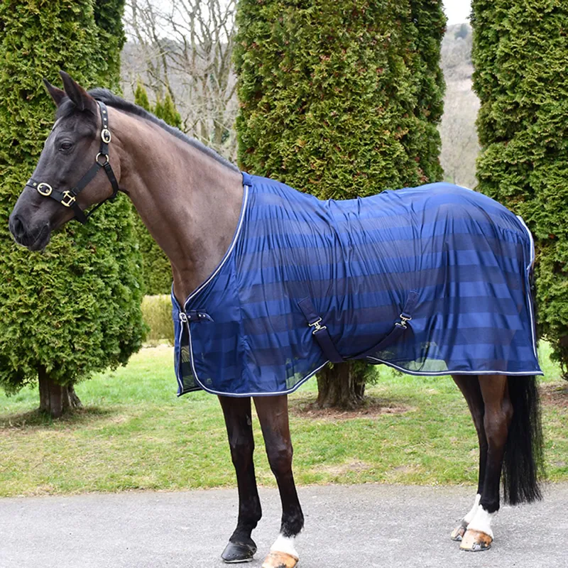 Rhinegold Sweat Sheet Cooler Rug - Navy
