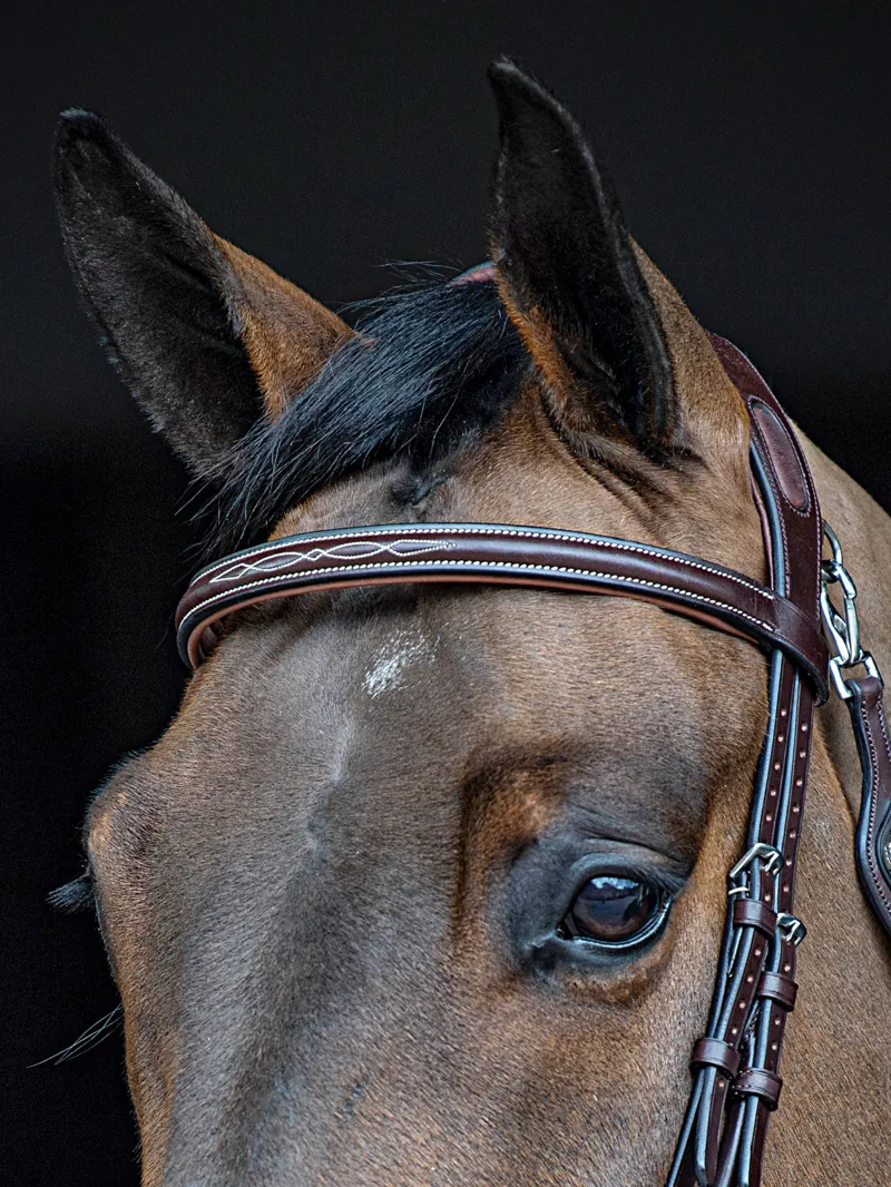 Equiline BB0417 Flat Padded Leather Browband with Stitching - Brown-5