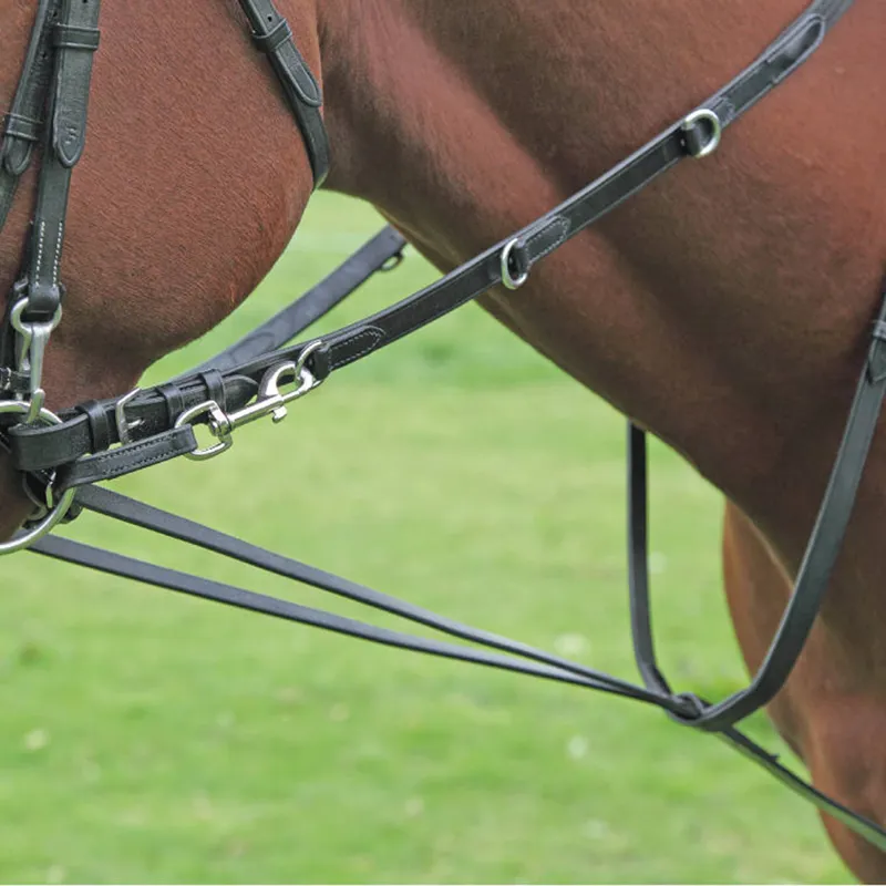 Shires Blenheim Market Harborough with Continental Reins - Brown