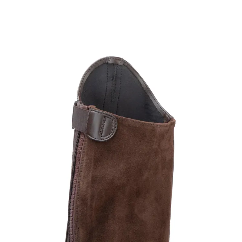 Moretta Synthetic Adults Riding Gaiters - Brown-4