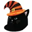 Equetech Halloween Hat Silk - Salem Cat