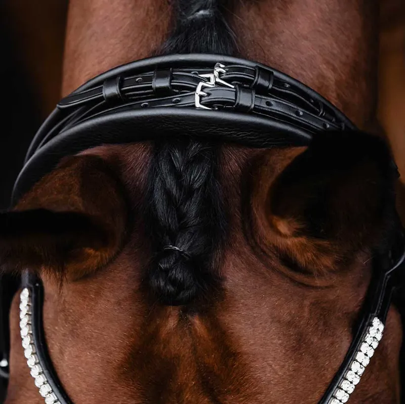 Schockemohle Isabell Werth Bella Rose Double Bridle - Black/Silver-1