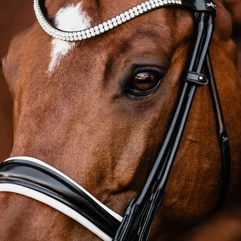 Schockemohle Isabell Werth Bella Rose Double Bridle - Black/White-2