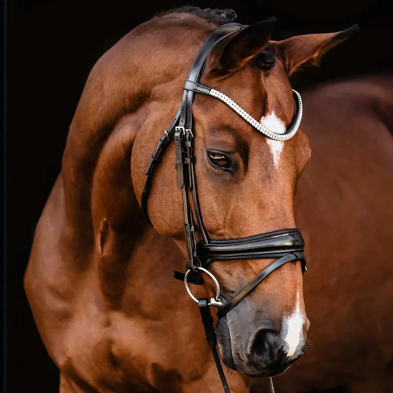 Schockemohle Isabell Werth Johnny Flash Bridle - Black/Silver-1