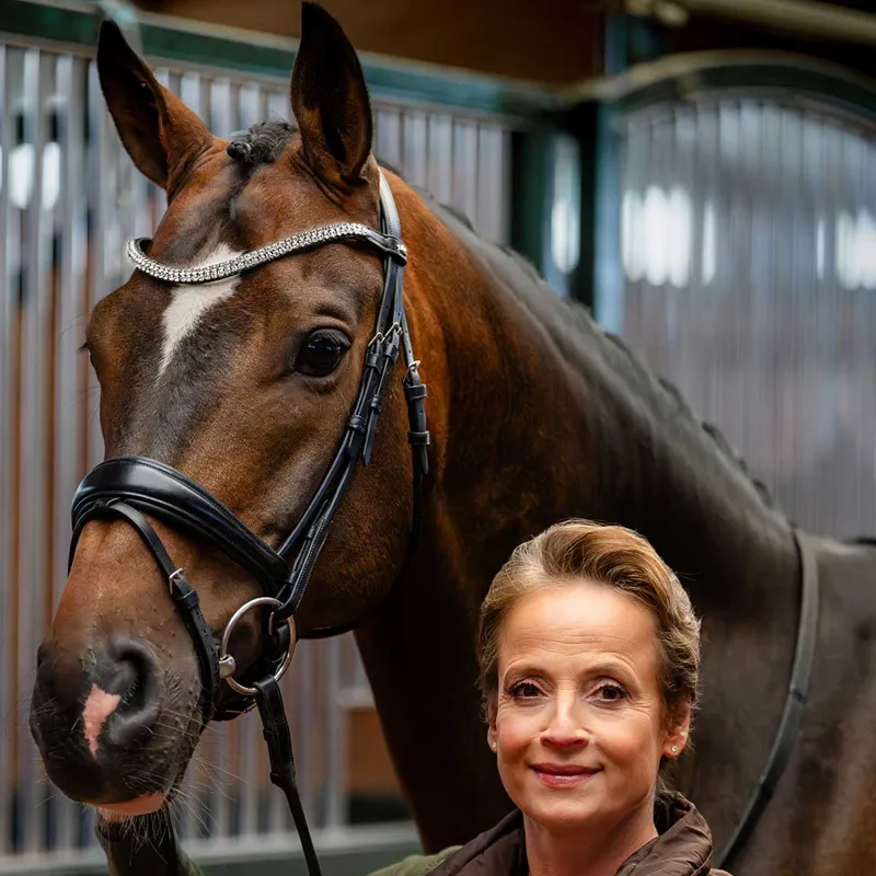 Schockemohle Isabell Werth Johnny Flash Bridle - Black/Silver-5