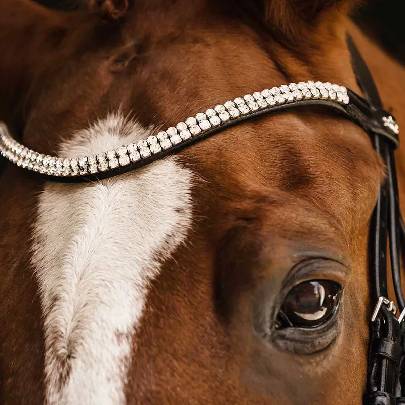 Schockemohle Isabell Werth Johnny Flash Bridle - Black/Silver-3