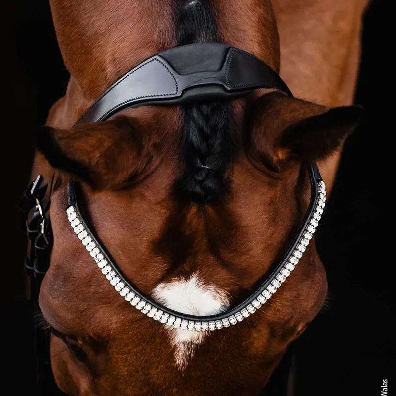 Schockemohle Isabell Werth Johnny Flash Bridle - Black/Silver-4