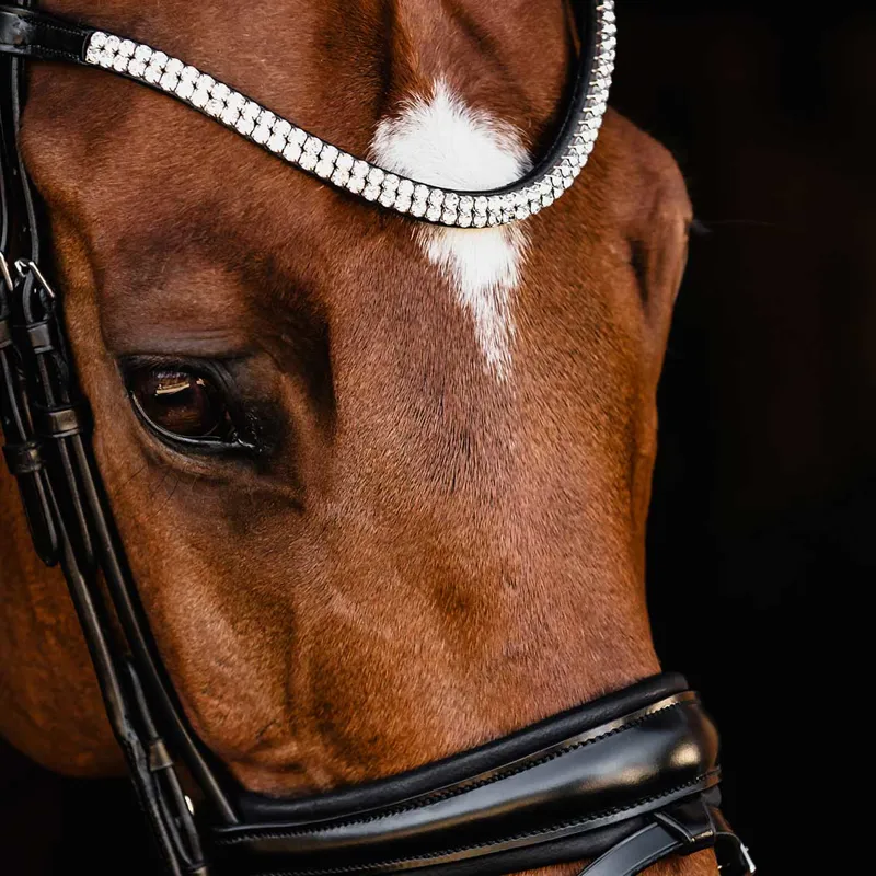 Schockemohle Isabell Werth Johnny Flash Bridle - Black/Silver-2