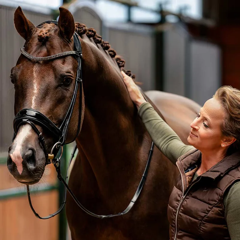 Schockemohle Isabell Werth Satchmo Rolled Flash Bridle - Black/Patent-2