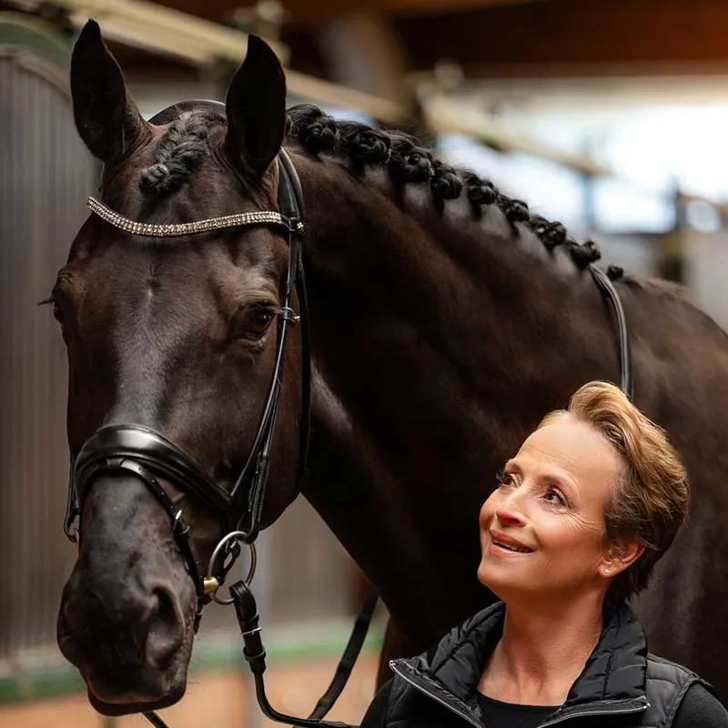 Schockemohle Isabell Werth Satchmo Rolled Flash Bridle - Black/Silver-2