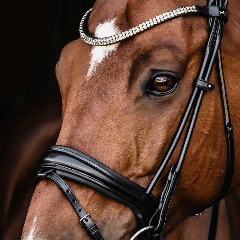 Schockemohle Isabell Werth Satchmo Rolled Flash Bridle - Black/Silver-5