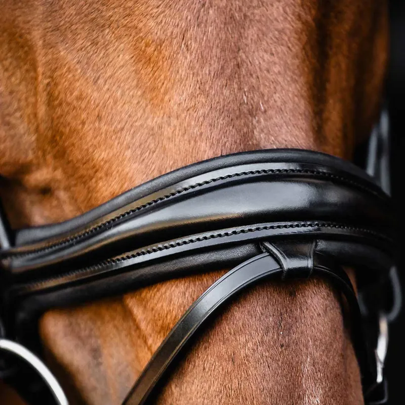 Schockemohle Isabell Werth Satchmo Rolled Flash Bridle - Black/Silver-7