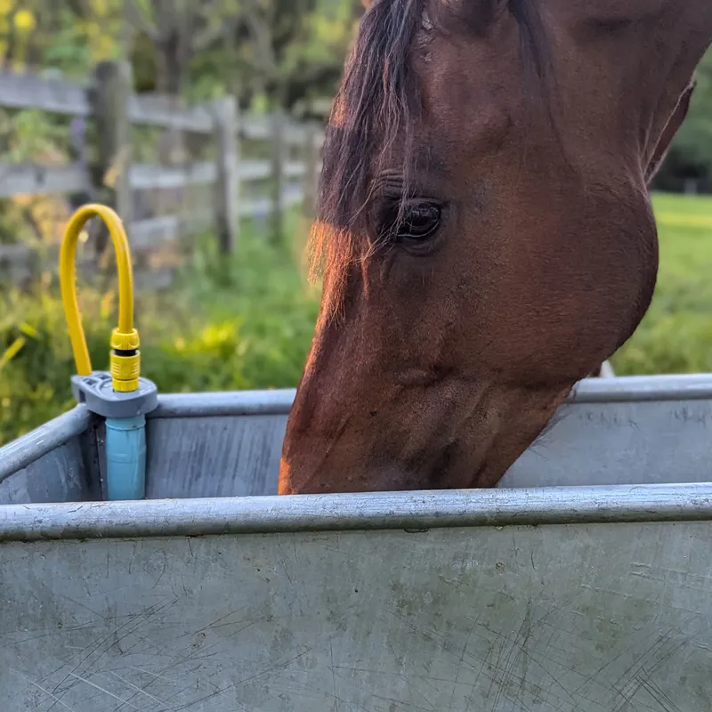 SealStop Water Saving Hose Valve - Blue-12