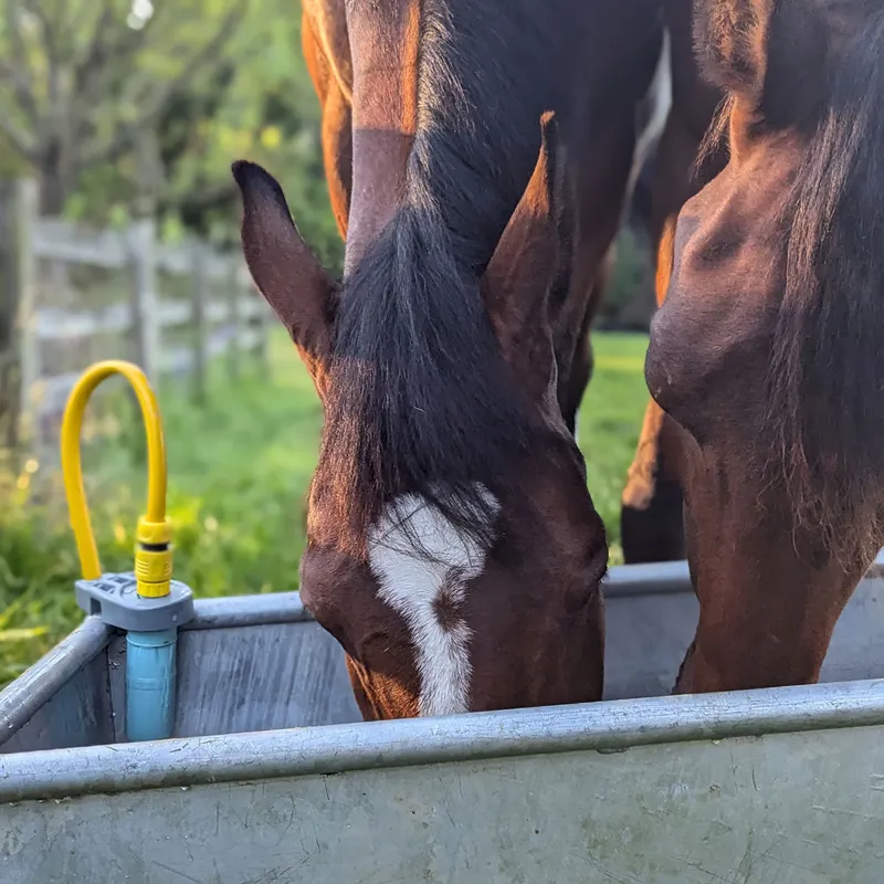 SealStop Water Saving Hose Valve - Blue-11