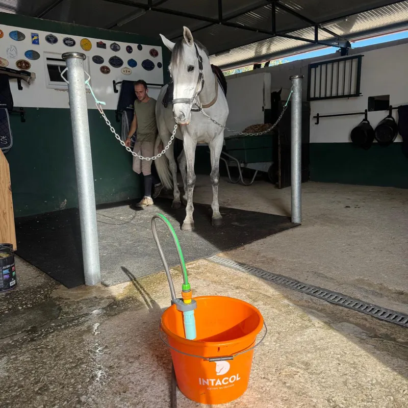 SealStop Water Saving Hose Valve - Blue-5