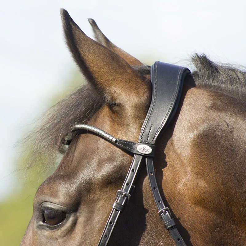 QHP Sedna Bridle - Black-2