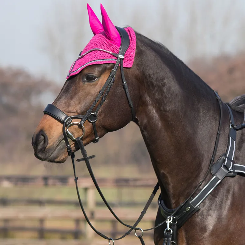 QHP Sedna Bridle - Black-1