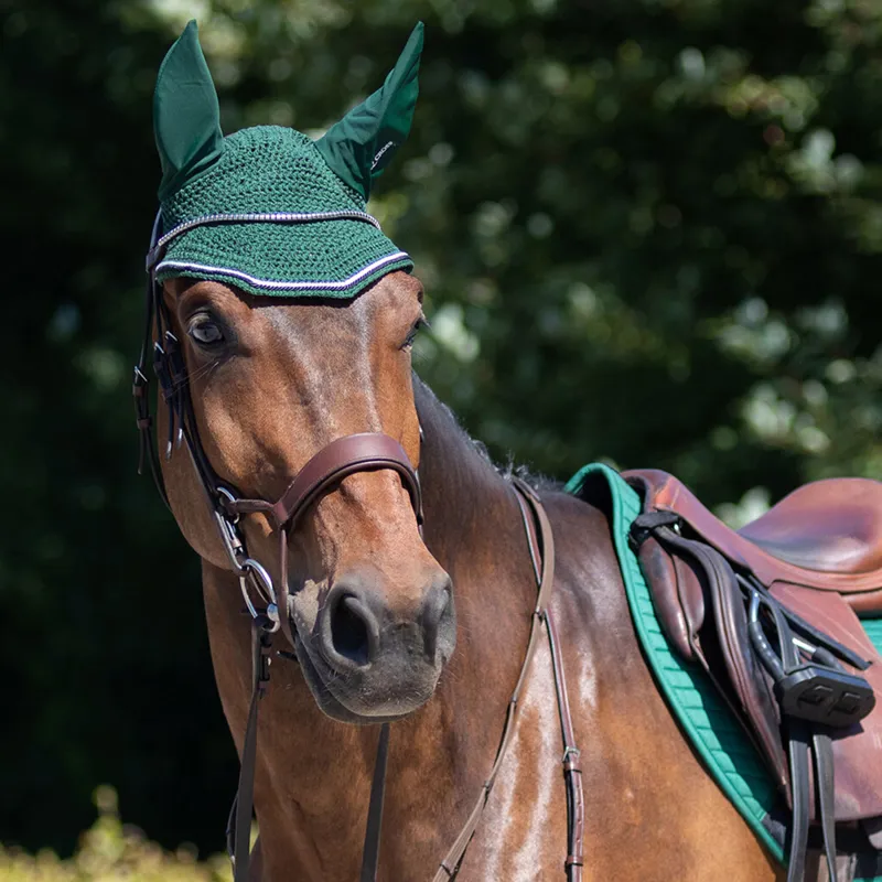 QHP Sedna Bridle - Brown-2