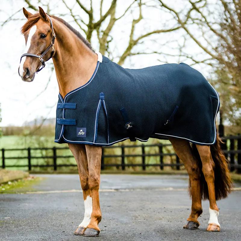 Mackey Shannon Air Cooler Rug - Navy