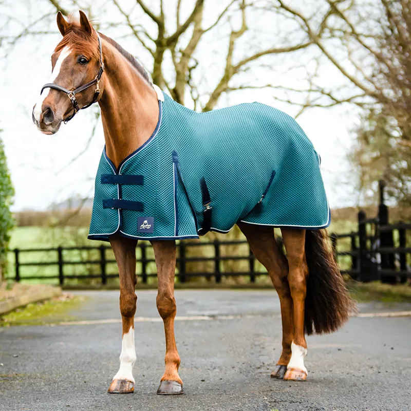 Mackey Shannon Air Cooler Rug - Petrol