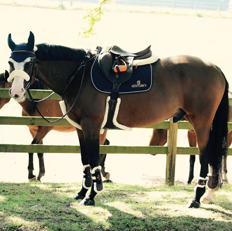 Kentucky Sheepskin Stud Girth - Black/Natural-1
