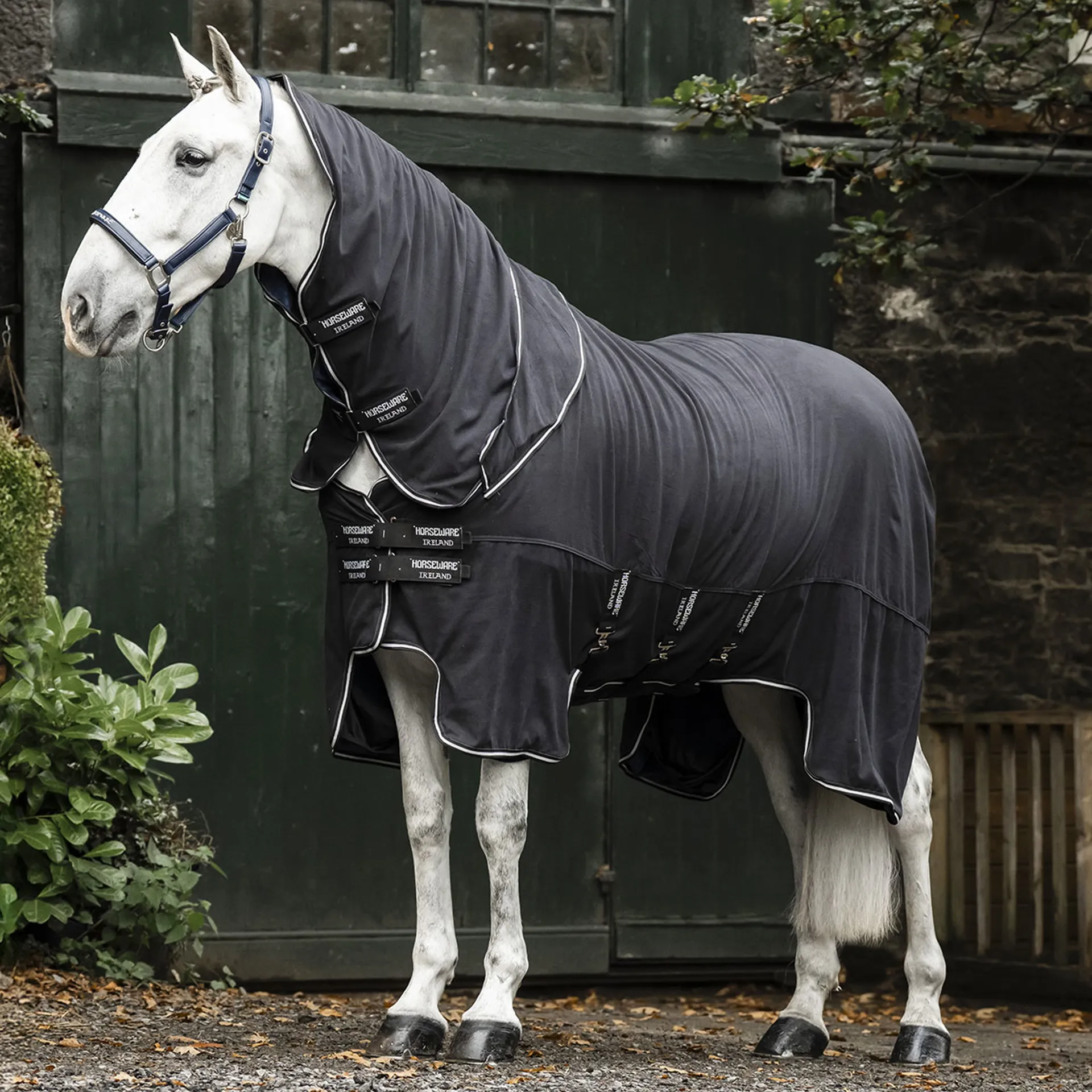 Horseware Show-Ready Rug