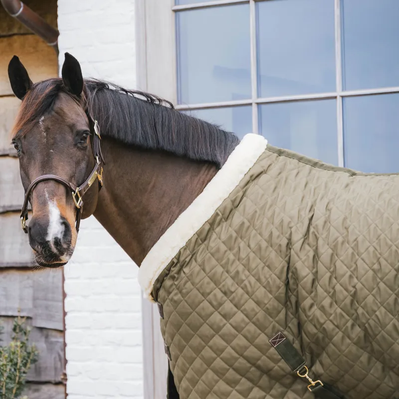 Kentucky 160g Show Rug - Khaki-5