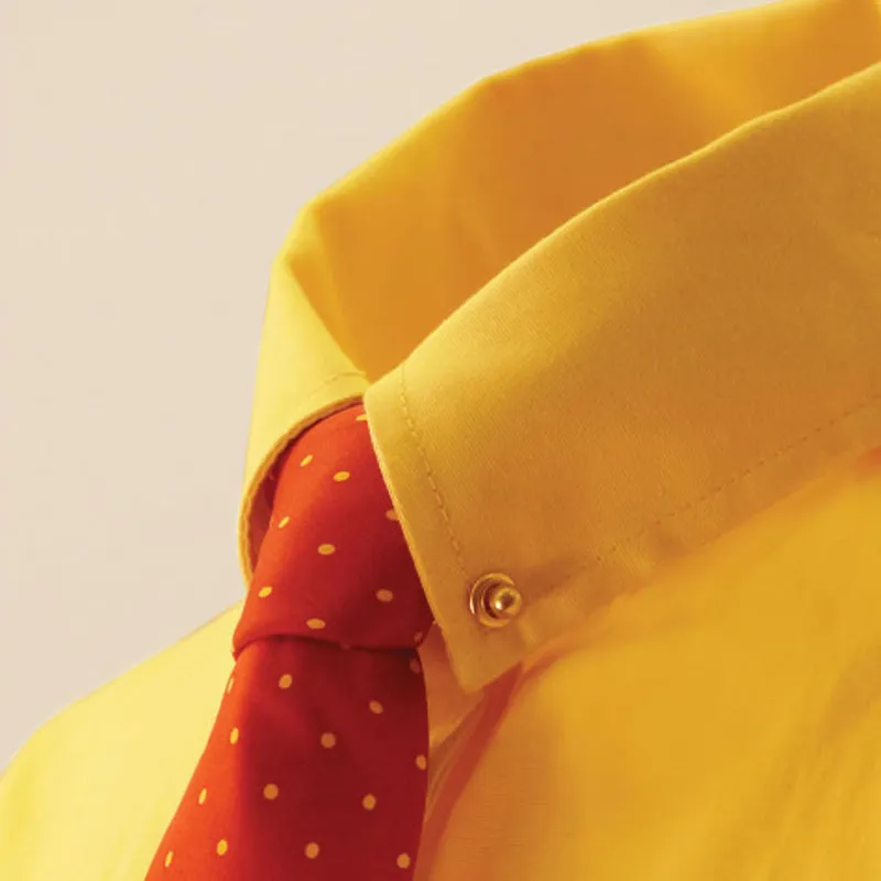 Equetech Showing Collar Pin and Chain - Gold-1